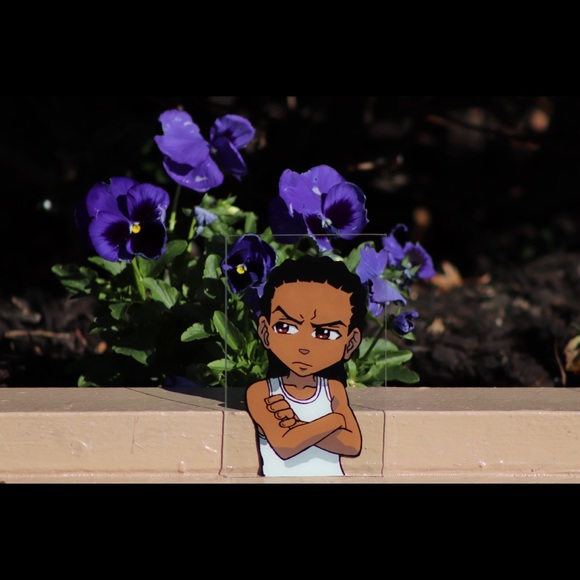 Boondocks - Picture 6 of 13
